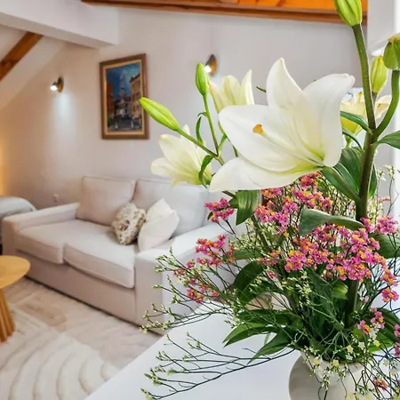 Apartman Viva